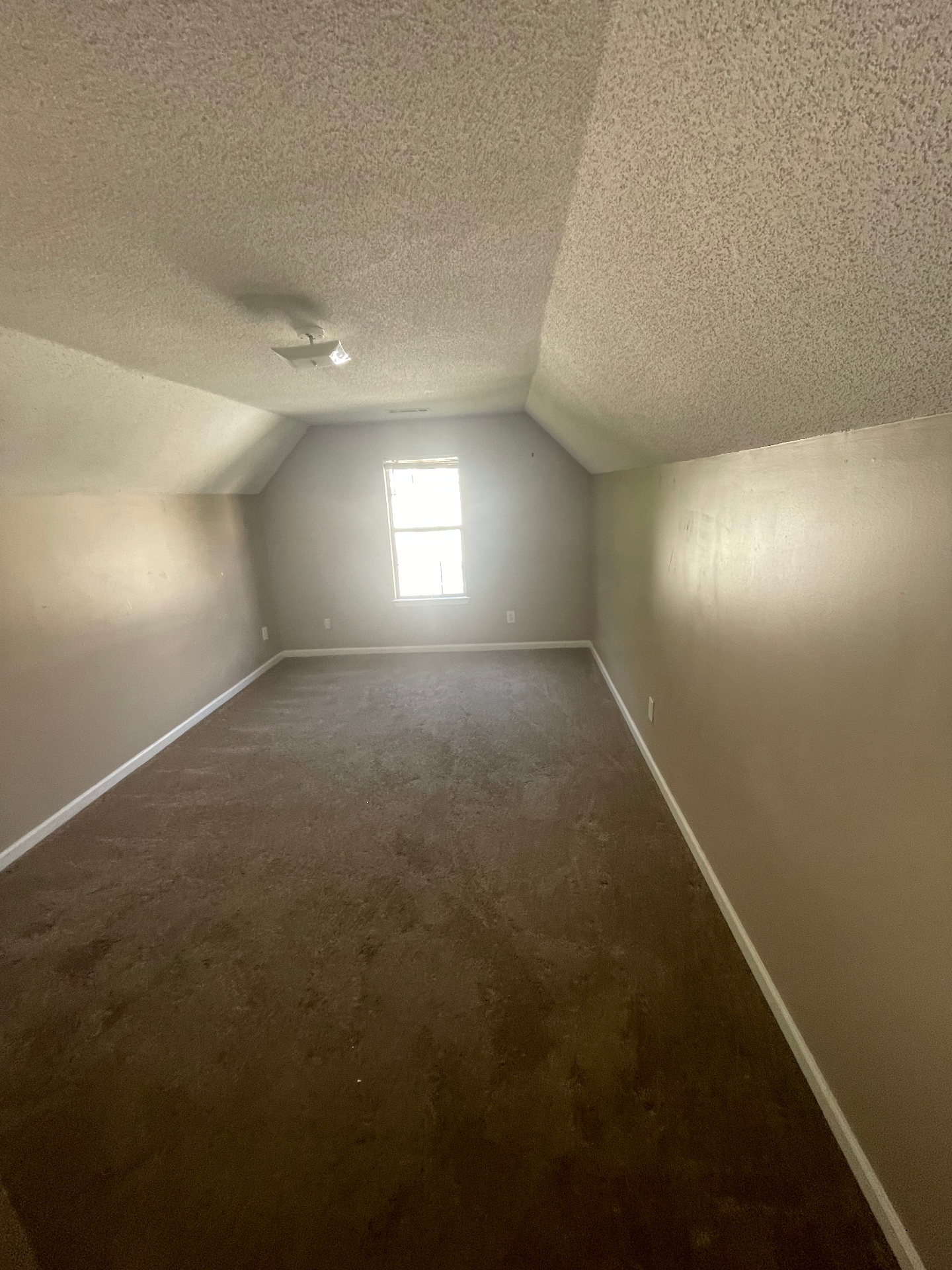 Finished bonus room with vaulted ceiling, wall-to-wall carpet, and fresh neutral paint